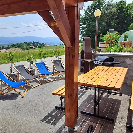 Apartments Jernej With Onsite Wellness Brežice Eksteriør billede
