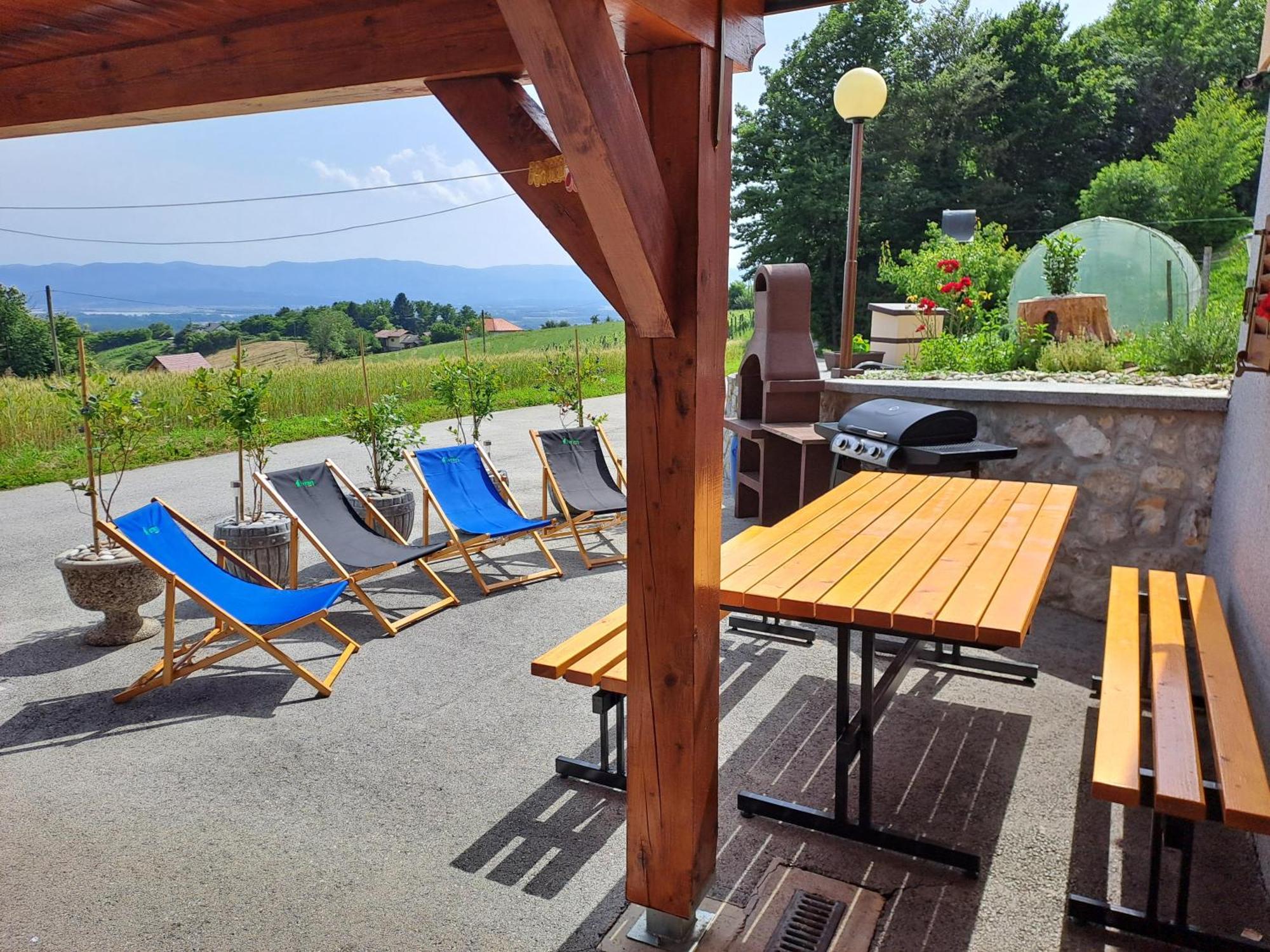 Apartments Jernej With Onsite Wellness Brežice Eksteriør billede